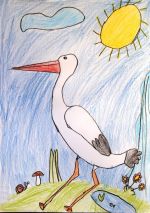 Madleňáková Martina.jpg